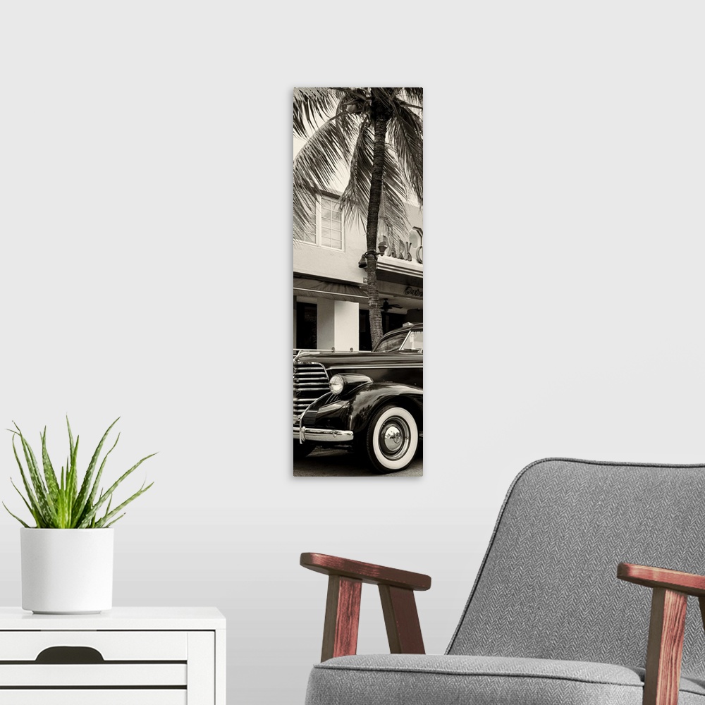 A modern room featuring Artistic black and white photograph of a classic car and a palm tree in Florida.