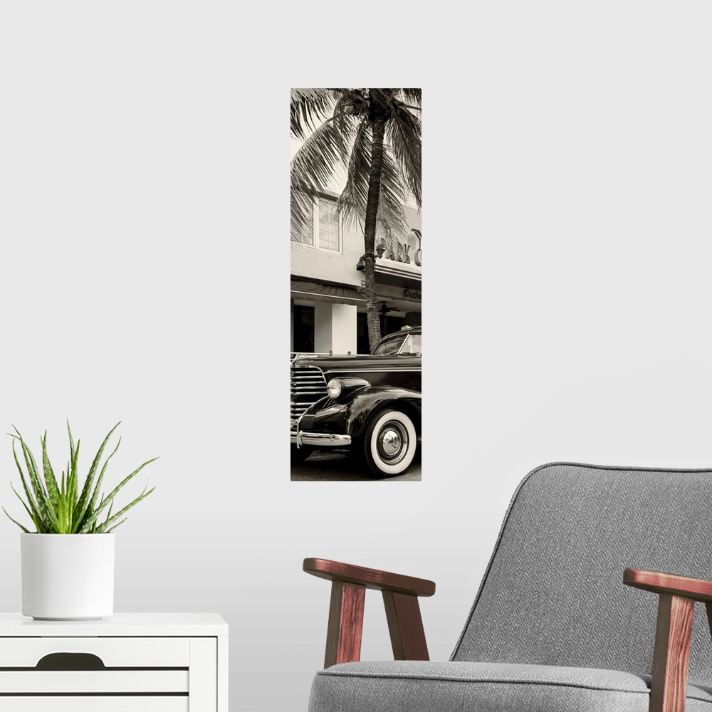 A modern room featuring Artistic black and white photograph of a classic car and a palm tree in Florida.