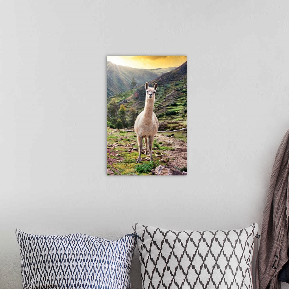 A bohemian room featuring "Colors of Peru" is a captivating photography collection that captures the vibrant essence and ri...