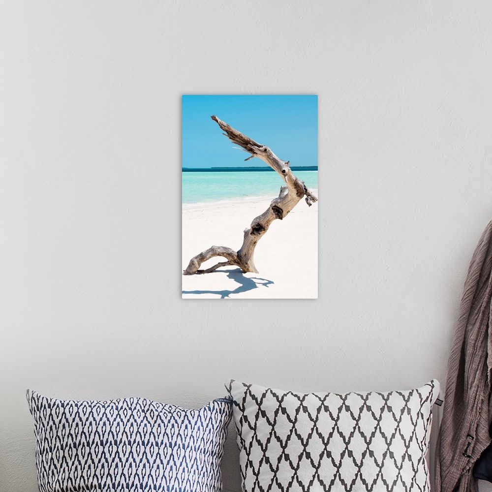 A bohemian room featuring Vertical photograph of a large piece of driftwood sticking up out of white sands with a clear oce...
