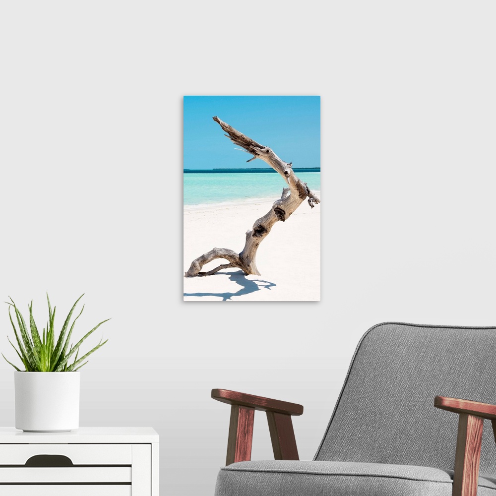 A modern room featuring Vertical photograph of a large piece of driftwood sticking up out of white sands with a clear oce...