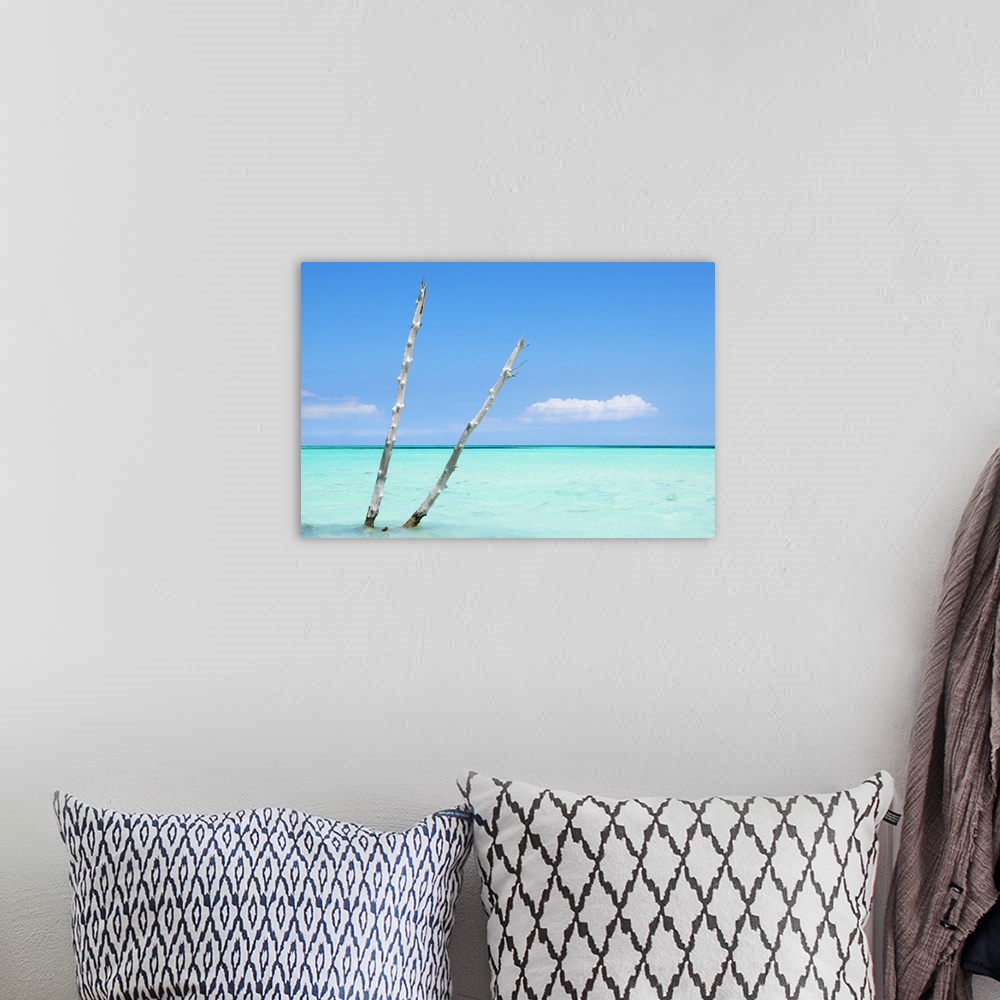 A bohemian room featuring Photograph of two pieces of wood sticking up through crystal blue ocean waters.