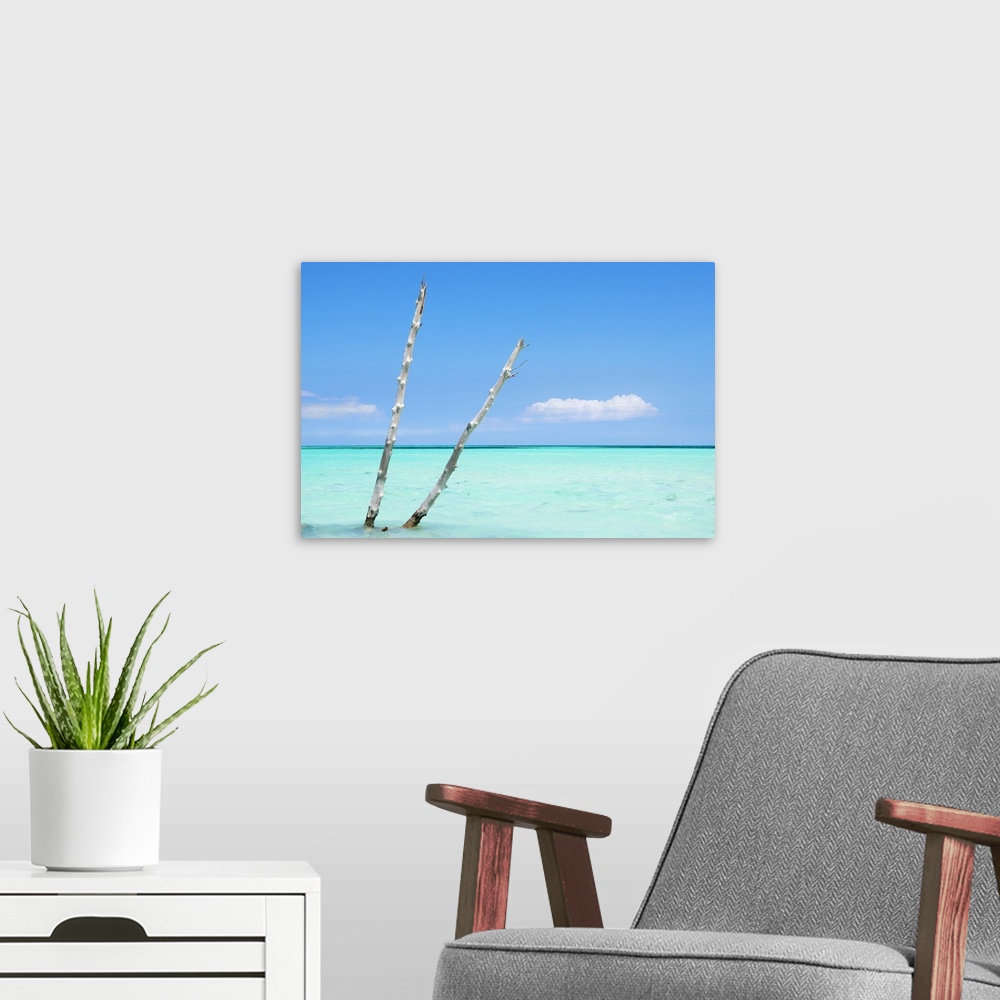 A modern room featuring Photograph of two pieces of wood sticking up through crystal blue ocean waters.