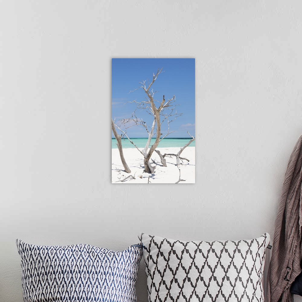 A bohemian room featuring Vertical photograph of driftwood in white sand on a beach in Cuba.