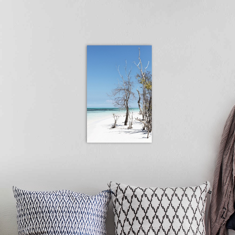 A bohemian room featuring Photograph of bare beach vegetation in white sand on a beach in Cuba.