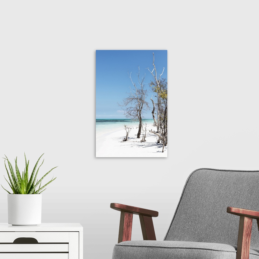 A modern room featuring Photograph of bare beach vegetation in white sand on a beach in Cuba.