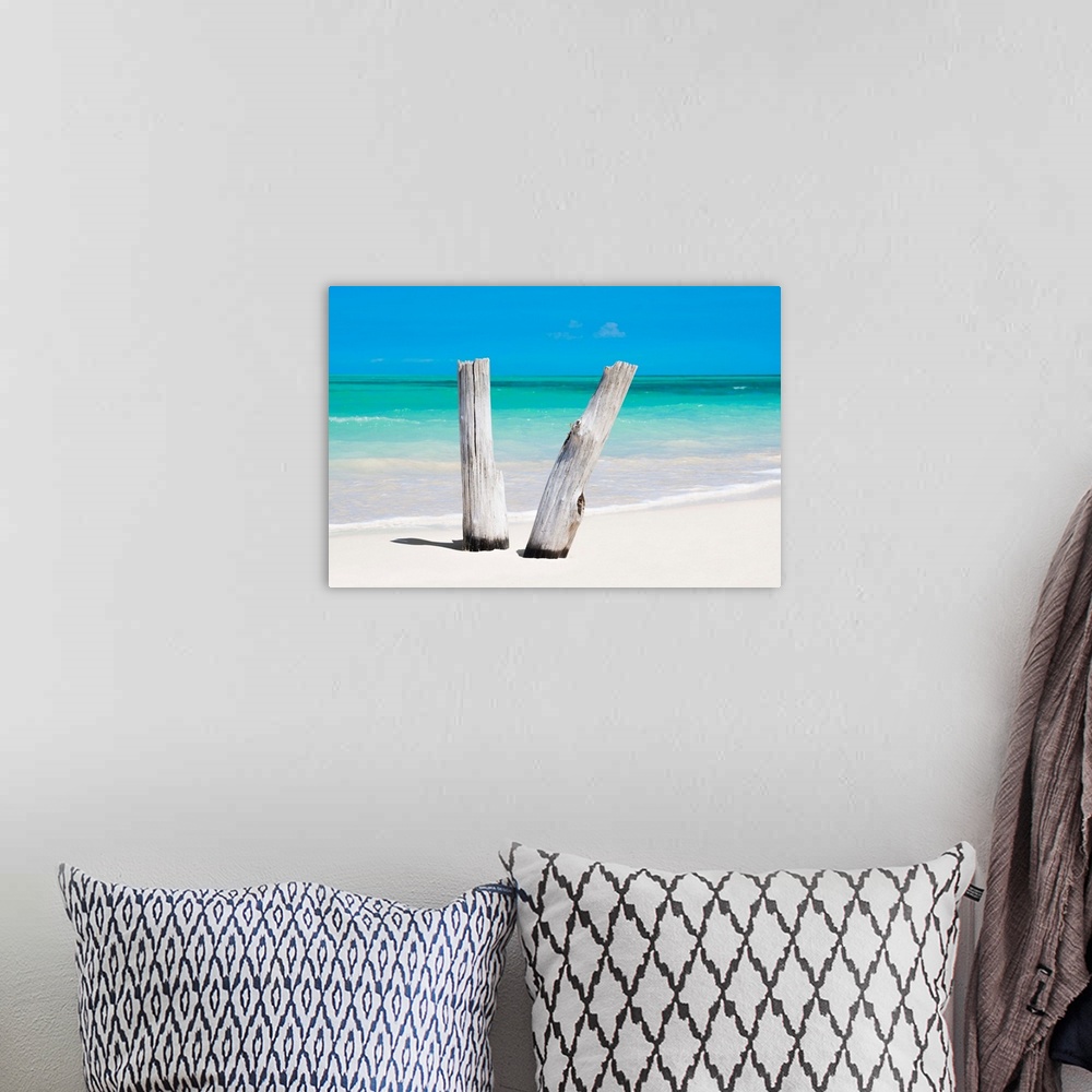 A bohemian room featuring Photograph of two pieces of driftwood standing up in the white sands of a Cuban beach with the oc...