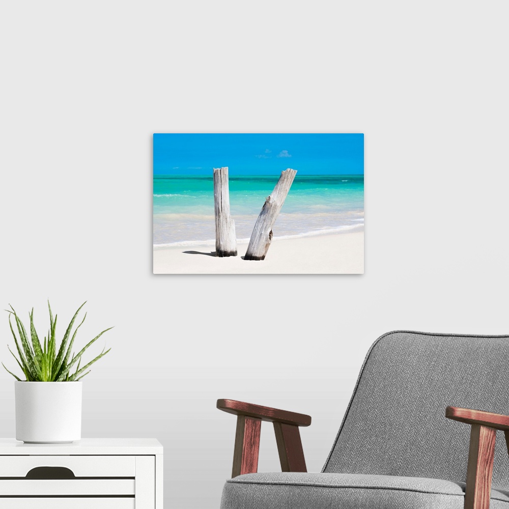 A modern room featuring Photograph of two pieces of driftwood standing up in the white sands of a Cuban beach with the oc...
