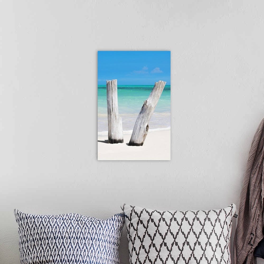 A bohemian room featuring Vertical photograph of two pieces of driftwood standing up in the white sand with the ocean in th...
