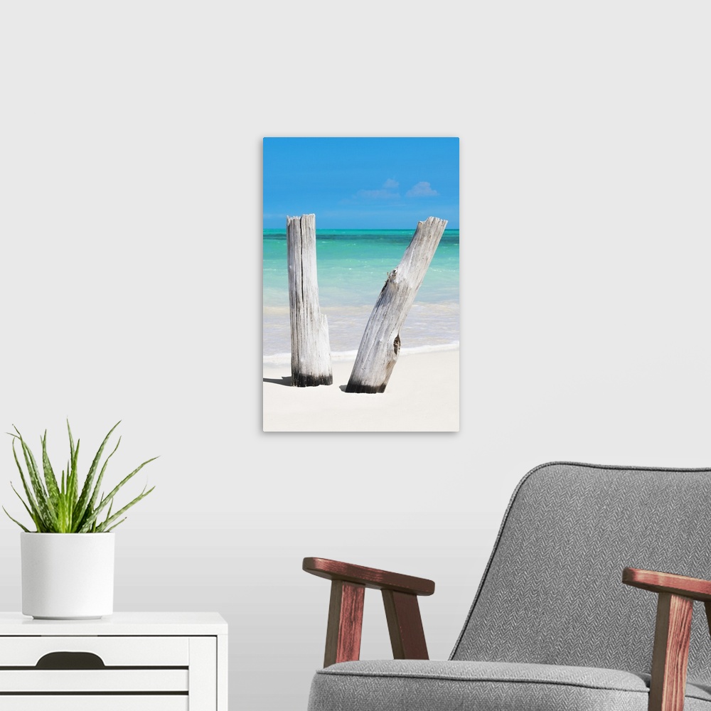 A modern room featuring Vertical photograph of two pieces of driftwood standing up in the white sand with the ocean in th...