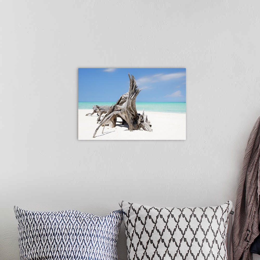 A bohemian room featuring Photograph of a large piece of driftwood on the shore of a crystal blue beach.