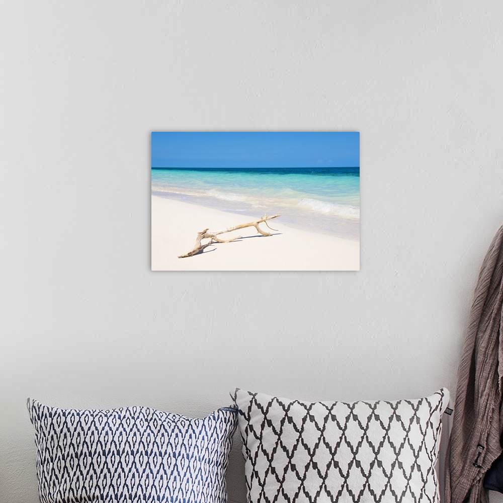 A bohemian room featuring Landscape photograph with a piece of driftwood in front of a crystal blue ocean in Cuba.