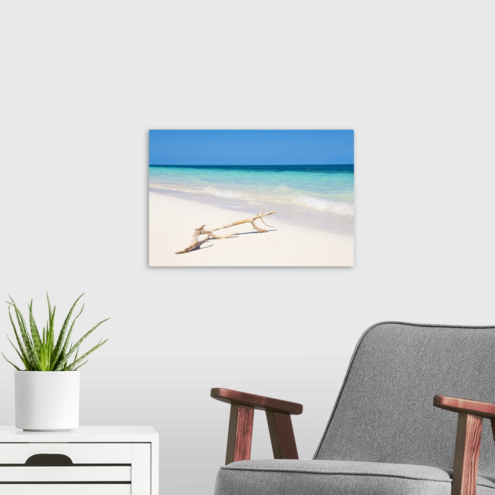 A modern room featuring Landscape photograph with a piece of driftwood in front of a crystal blue ocean in Cuba.
