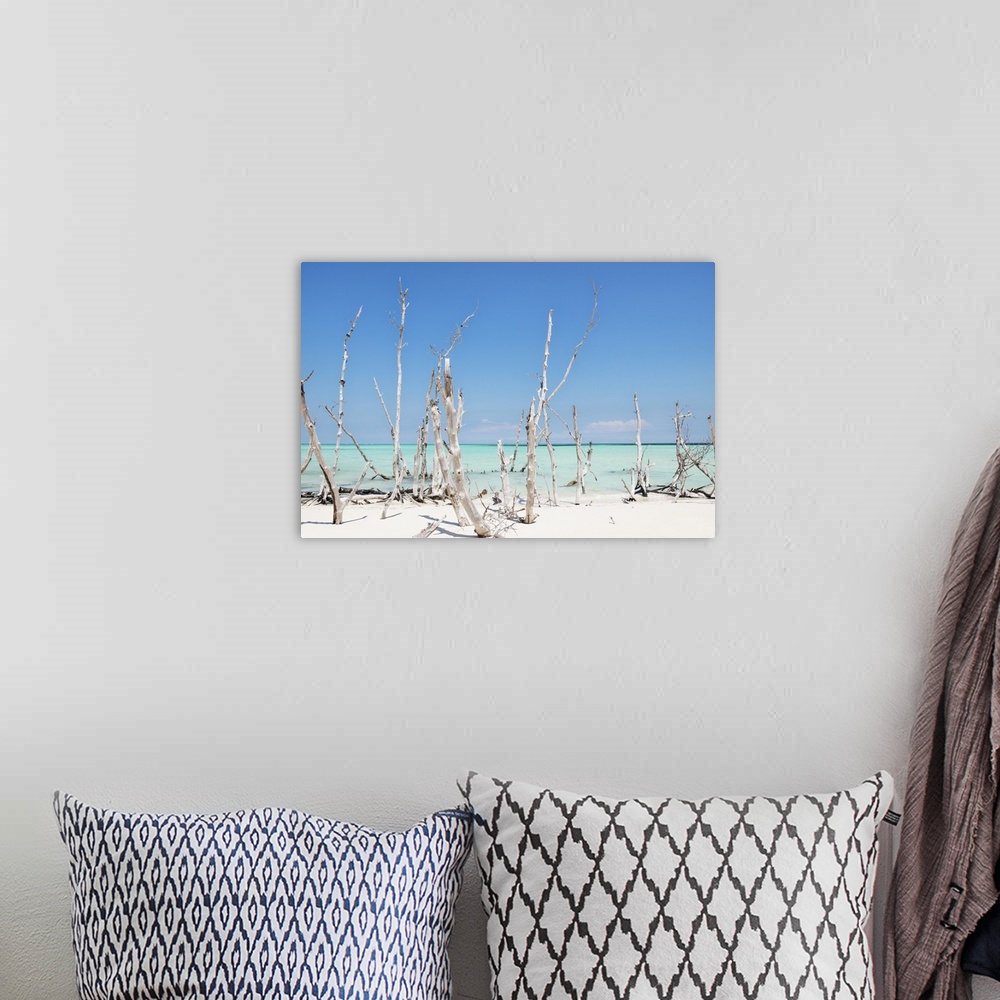 A bohemian room featuring Photograph of wood sticking up through crystal blue ocean water.