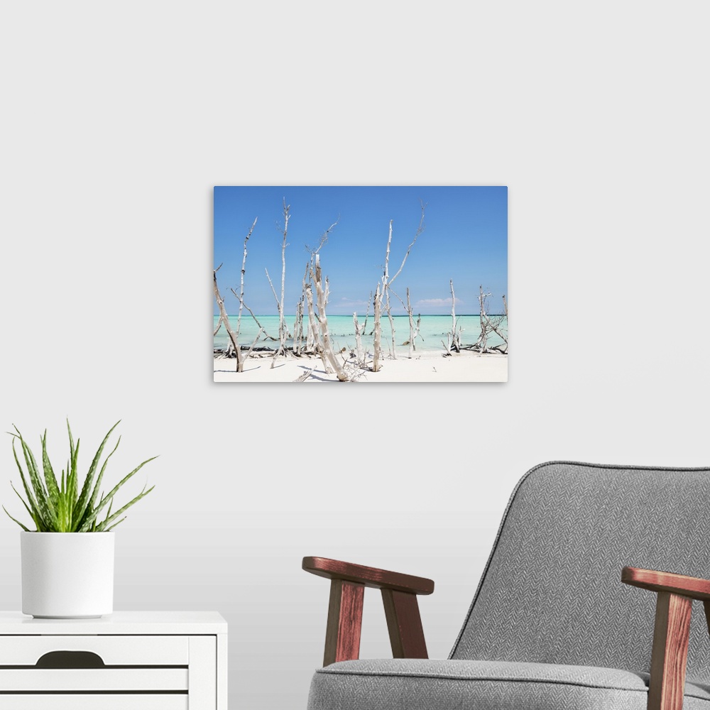 A modern room featuring Photograph of wood sticking up through crystal blue ocean water.