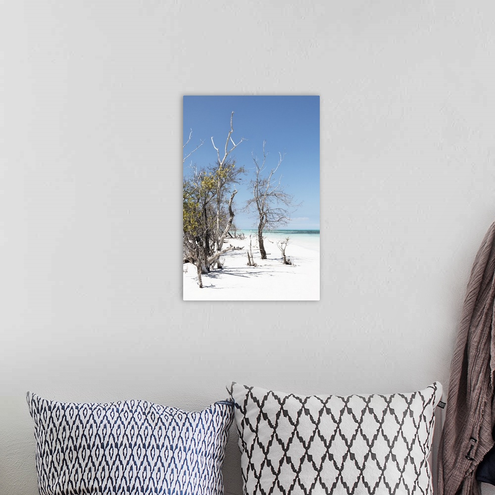 A bohemian room featuring Vertical photograph of a white sand beach landscape.