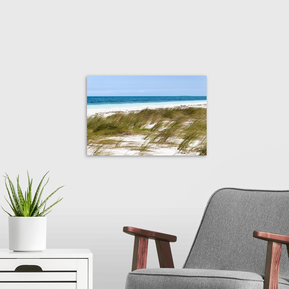 A modern room featuring Landscape photograph of beach grass moving in the wind with the ocean in the background.