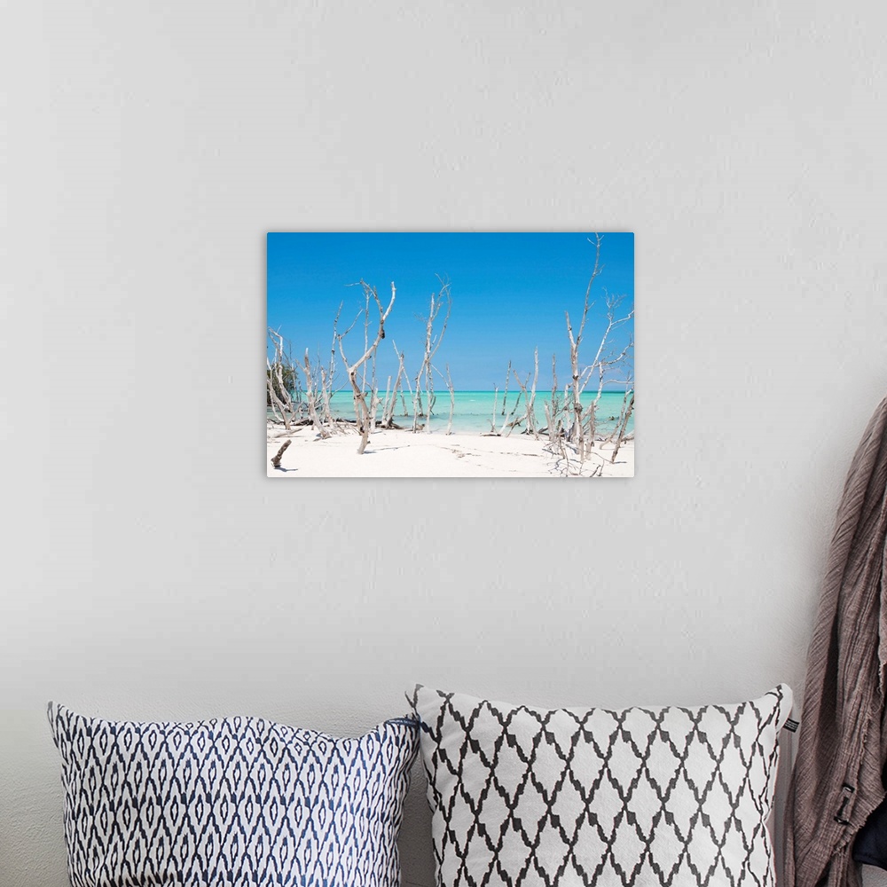 A bohemian room featuring Photograph of wood sticking up through crystal blue ocean water on a white sandy beach.