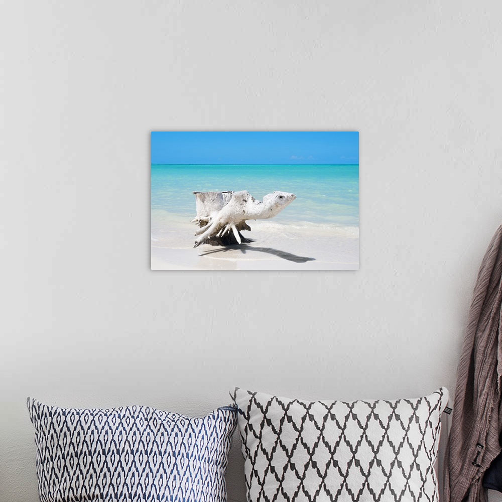 A bohemian room featuring Photograph of a piece of driftwood on the shore of a Cuban beach.
