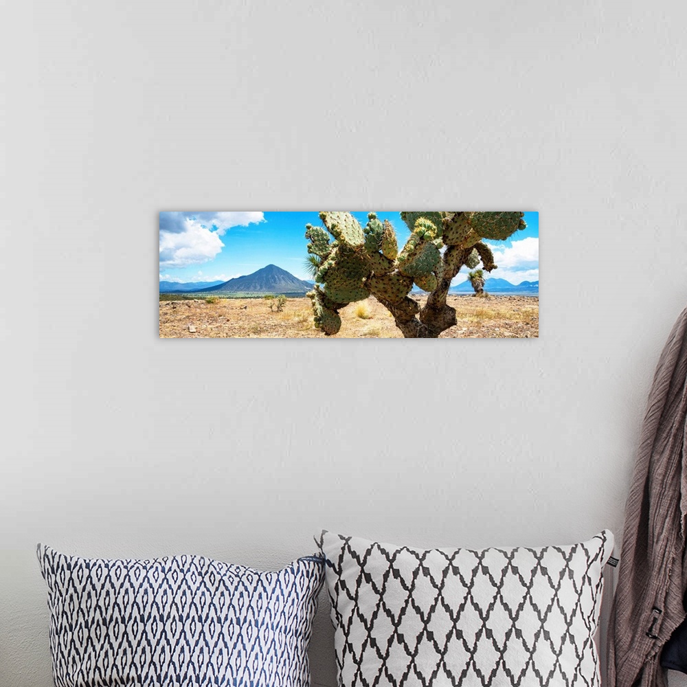 A bohemian room featuring Panoramic landscape photograph of a desert with mountains in the background and a big cactus in t...