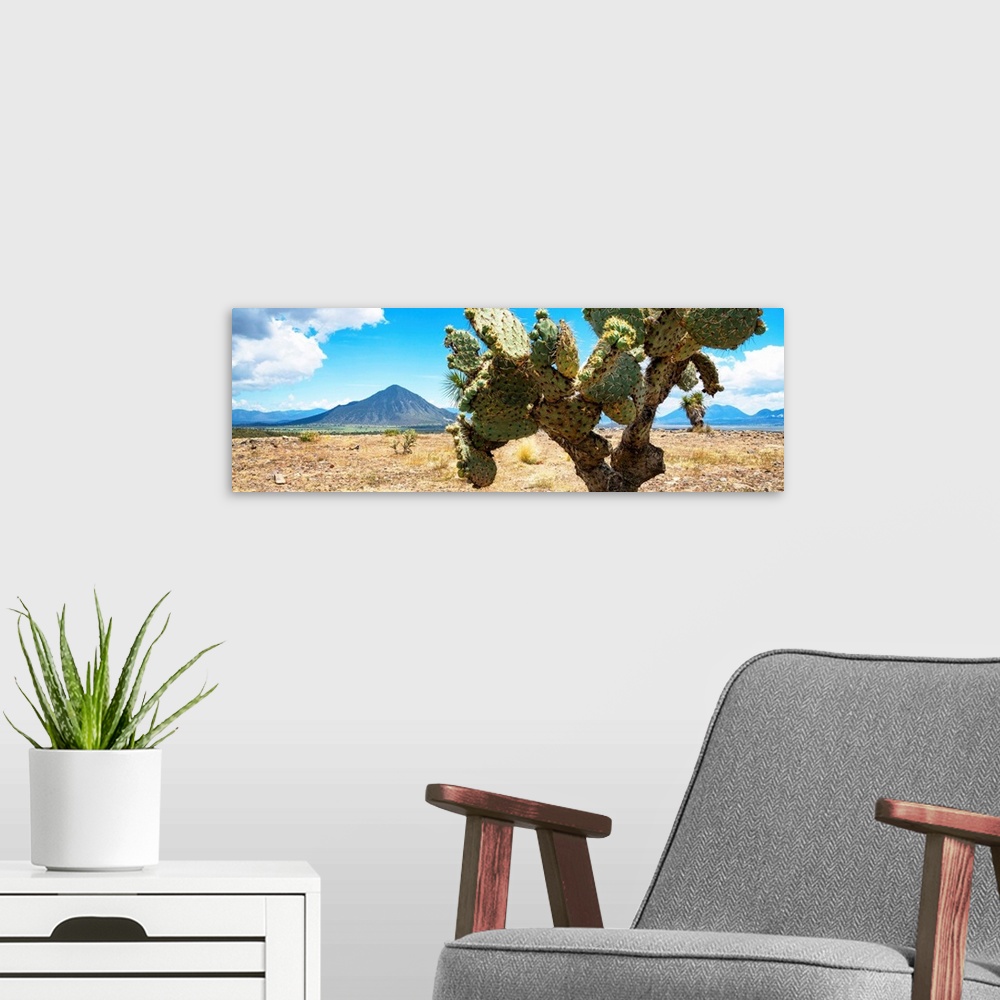 A modern room featuring Panoramic landscape photograph of a desert with mountains in the background and a big cactus in t...