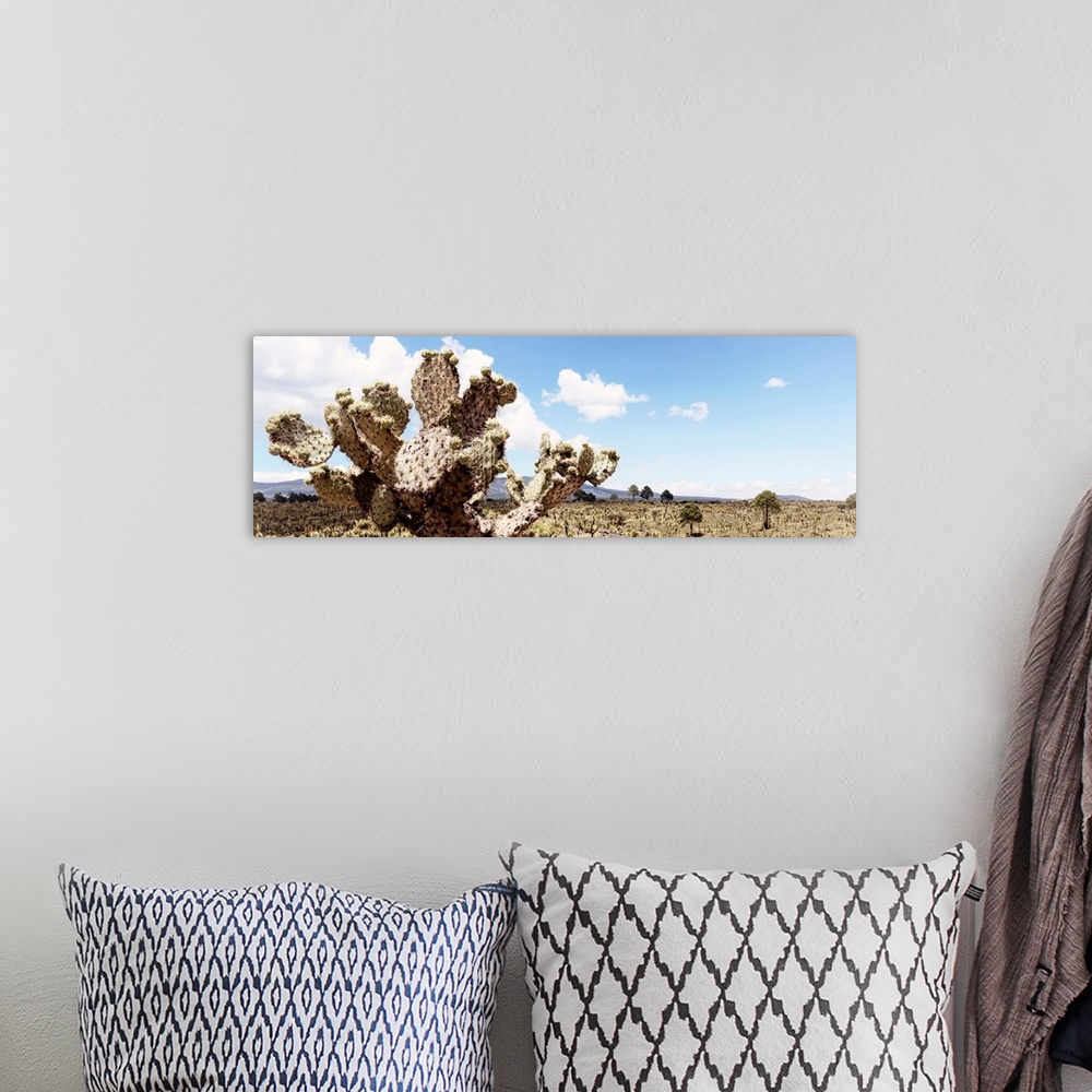 A bohemian room featuring Panoramic landscape photograph of a desert with mountains in the background and a big cactus in t...