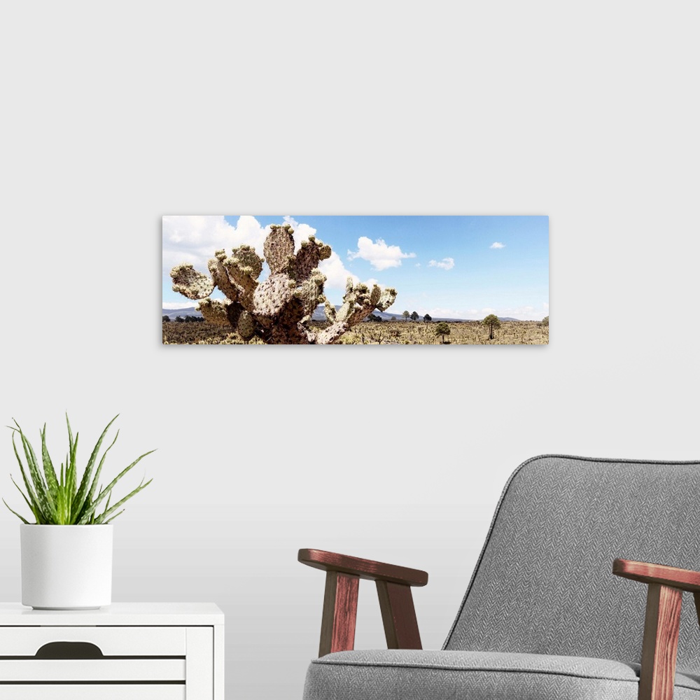 A modern room featuring Panoramic landscape photograph of a desert with mountains in the background and a big cactus in t...