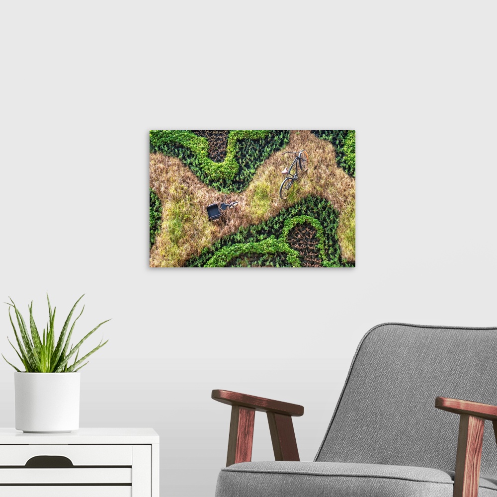 A modern room featuring Landscape photograph from above of a bicycle and a tricycle amongst a grassy field and plants. Fr...