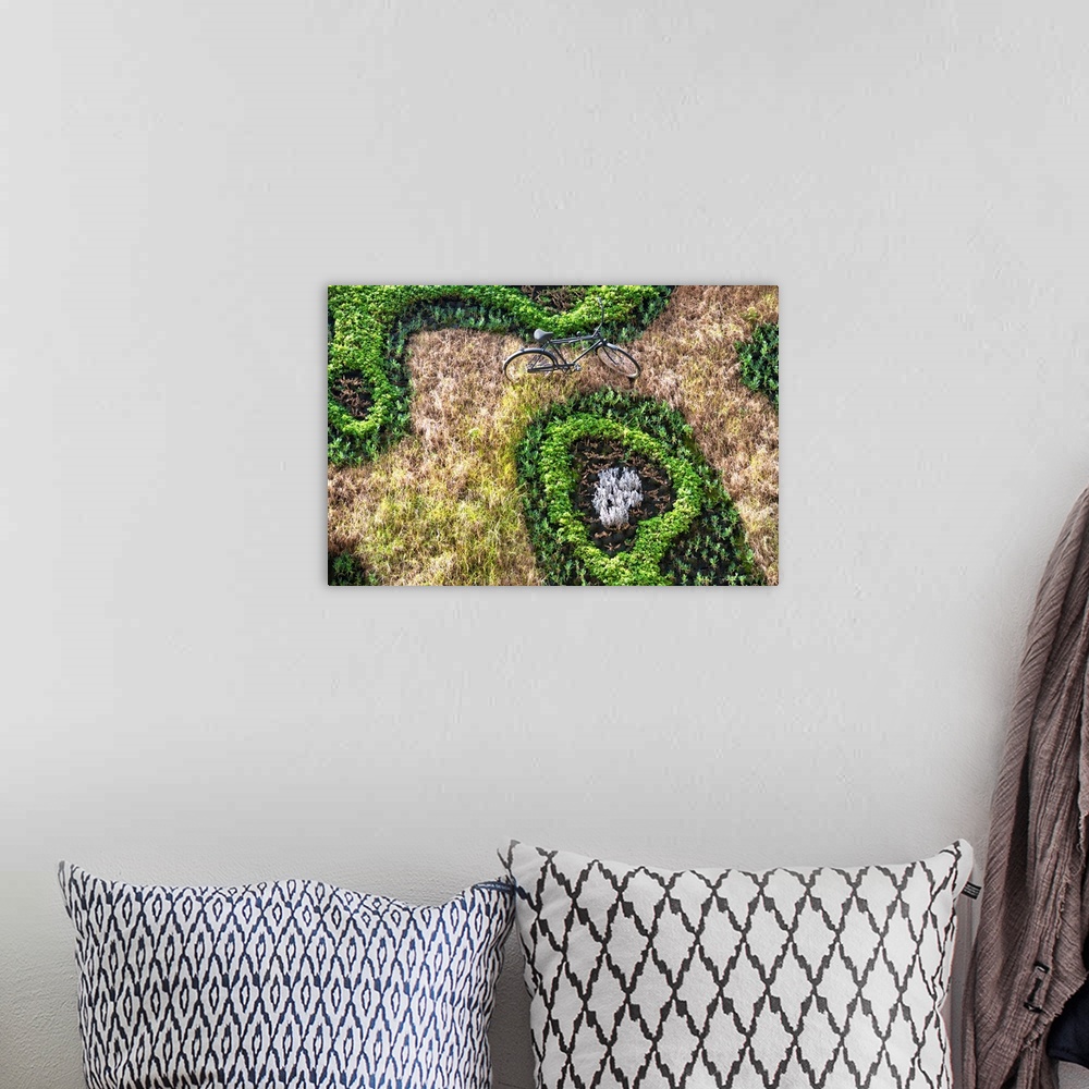 A bohemian room featuring Landscape photograph from above of a bicycle amongst a grassy field and plants. From the Viva Mex...