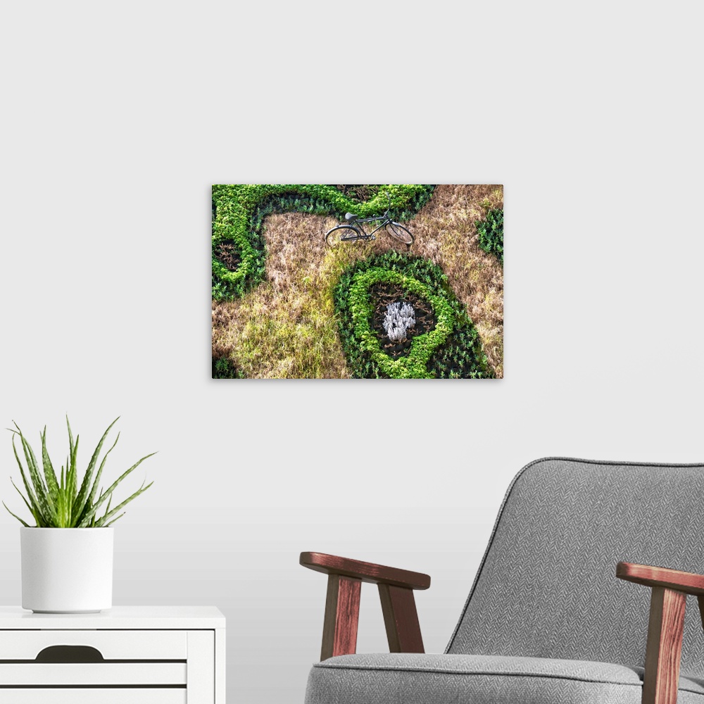 A modern room featuring Landscape photograph from above of a bicycle amongst a grassy field and plants. From the Viva Mex...