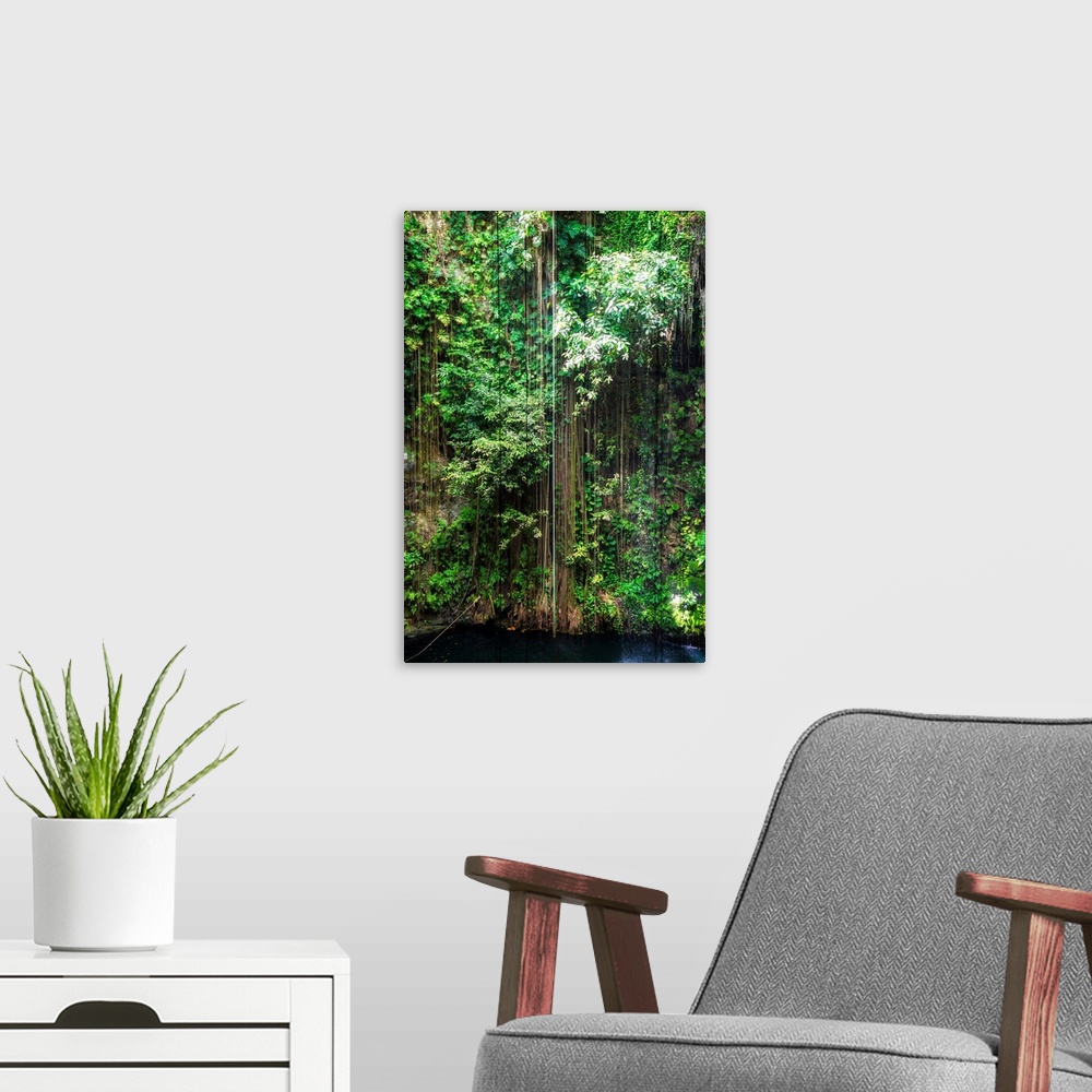 A modern room featuring Photograph of the hanging roots at Ik-Kil Cenote, Ik-Kil archaeological park, Mexico. From the Vi...