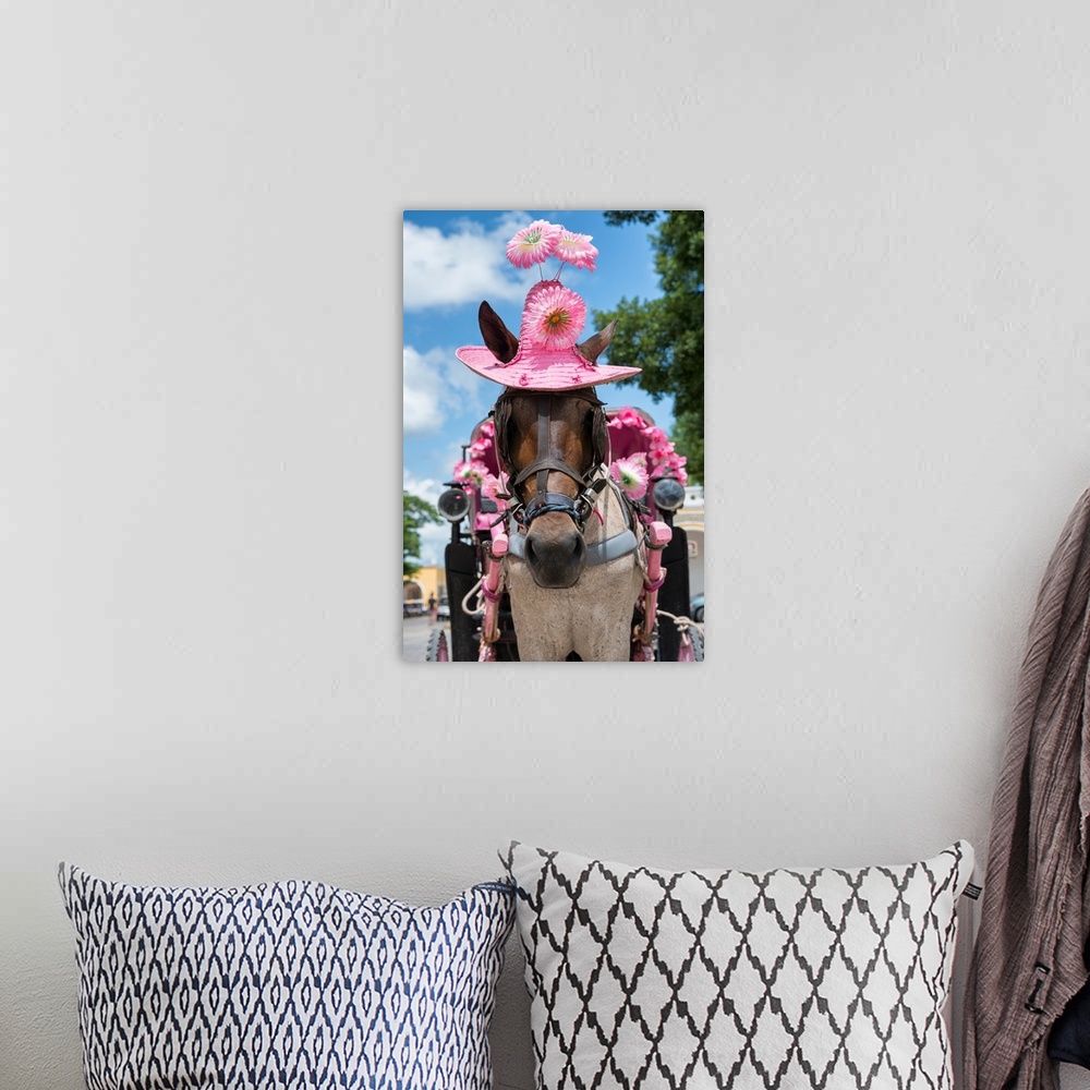 A bohemian room featuring Close-up photograph of a horse on the streets of Izamal, Mexico, wearing a bright pink straw hat ...