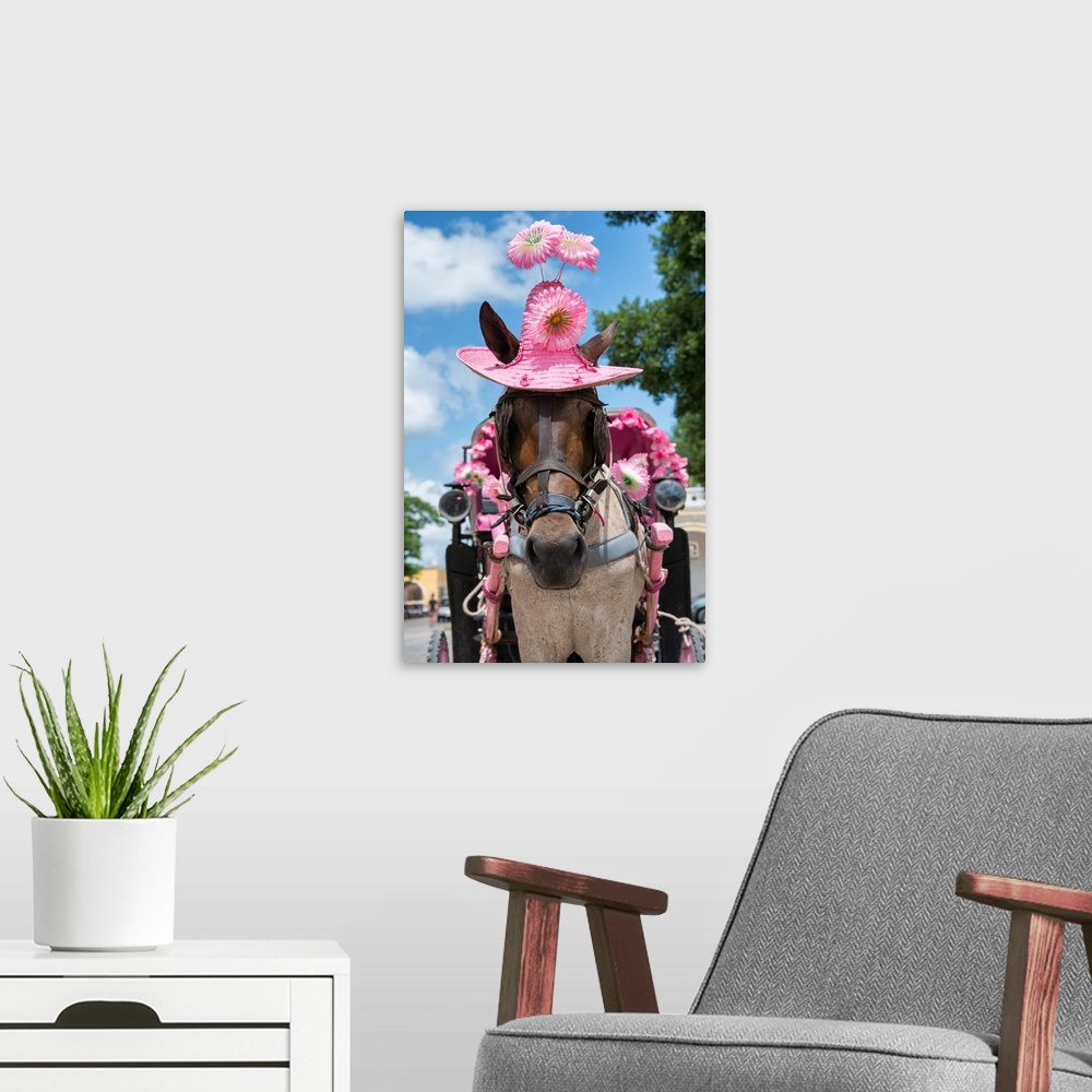 A modern room featuring Close-up photograph of a horse on the streets of Izamal, Mexico, wearing a bright pink straw hat ...