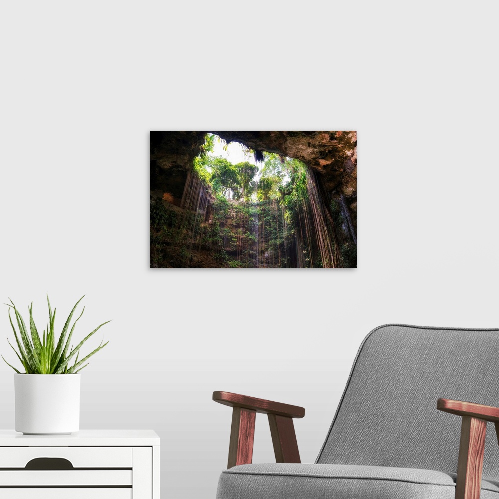 A modern room featuring Photograph of the Ik-Kil cenote in Mexico from the bottom looking up. From the Viva Mexico Collec...