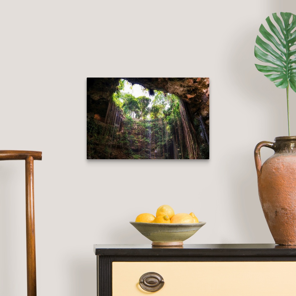 A traditional room featuring Photograph of the Ik-Kil cenote in Mexico from the bottom looking up. From the Viva Mexico Collec...