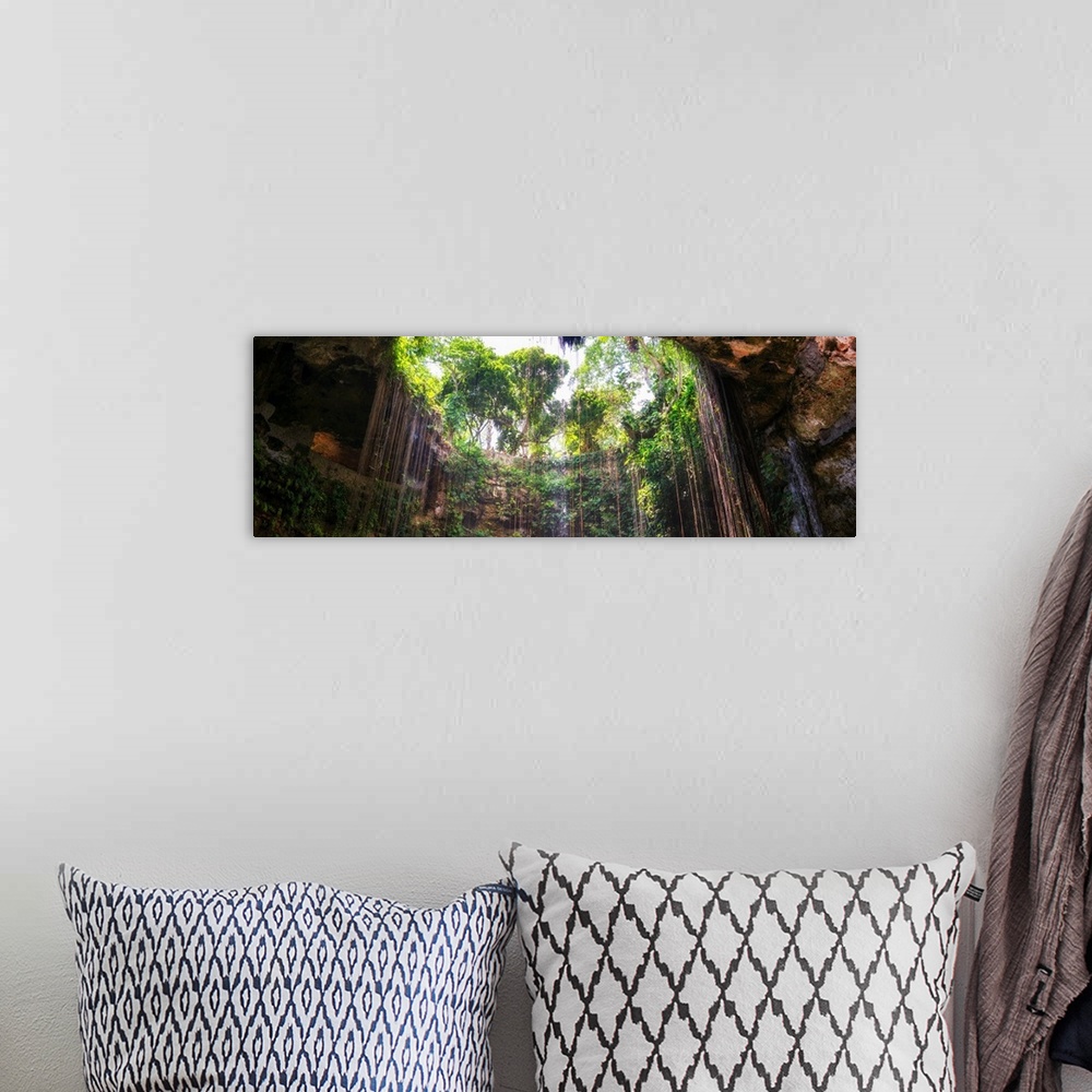 A bohemian room featuring Panoramic photograph of the view from the bottom up at Ik-Kil Cenote in Yucat?n, Mexico. From the...