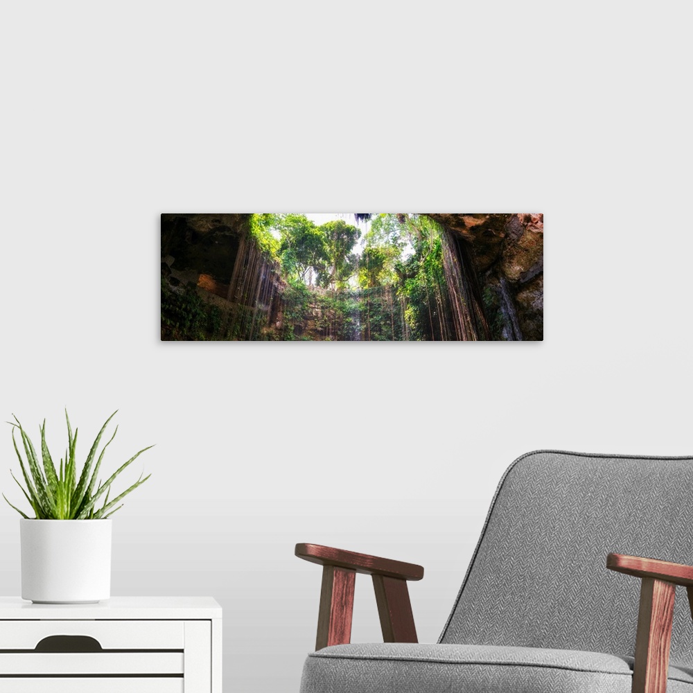 A modern room featuring Panoramic photograph of the view from the bottom up at Ik-Kil Cenote in Yucat?n, Mexico. From the...