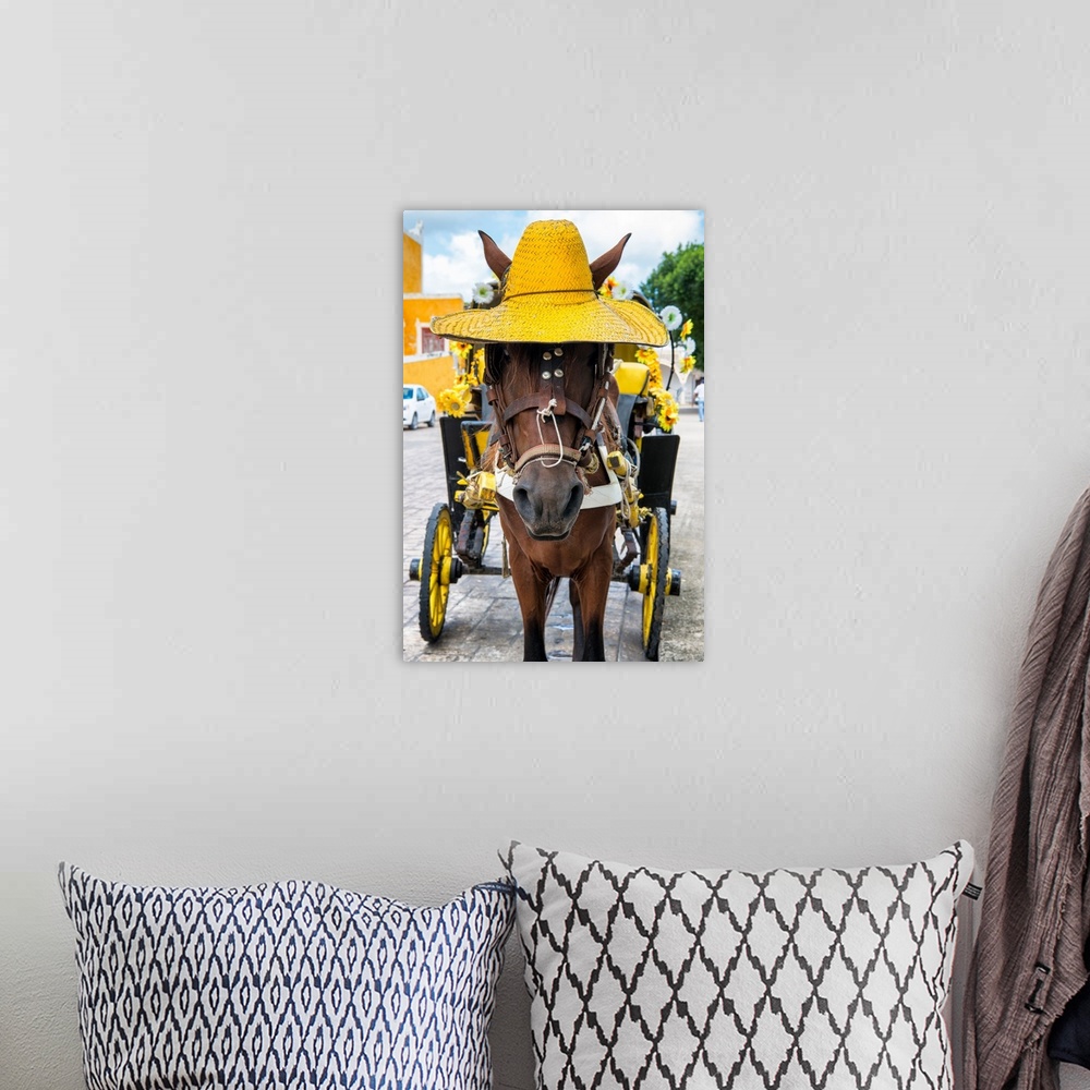 A bohemian room featuring Close-up photograph of a horse on the streets of Izamal, Mexico, wearing a bright yellow straw ha...