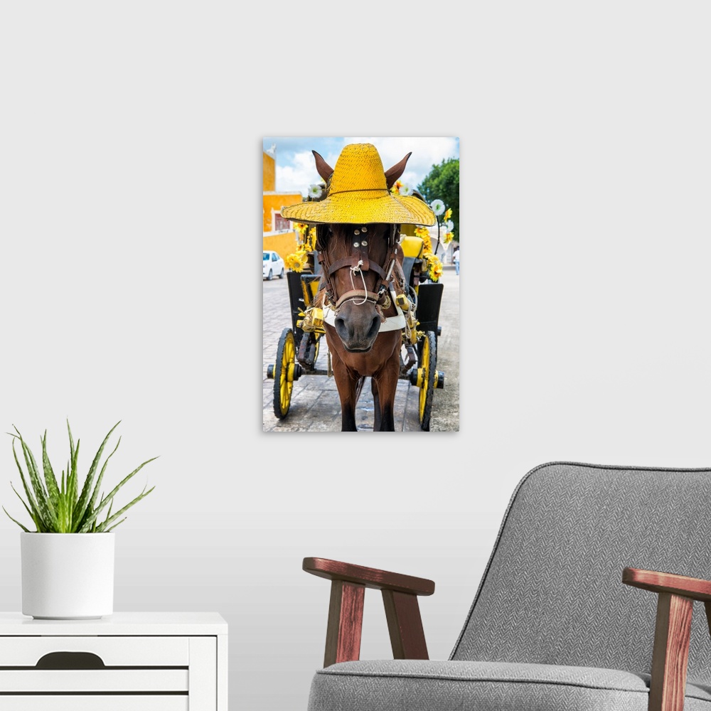 A modern room featuring Close-up photograph of a horse on the streets of Izamal, Mexico, wearing a bright yellow straw ha...