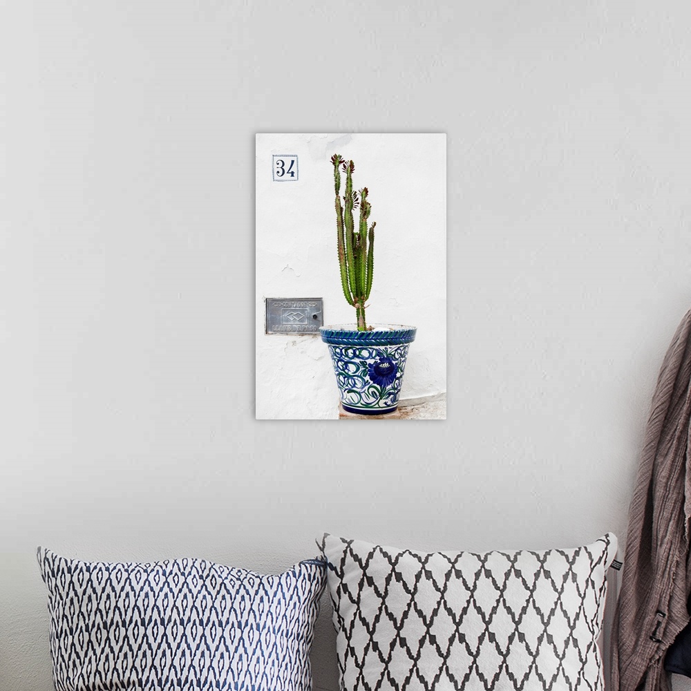 A bohemian room featuring It's a terracotta pot with a cactus in front of a white wall in Mijas, Spain.