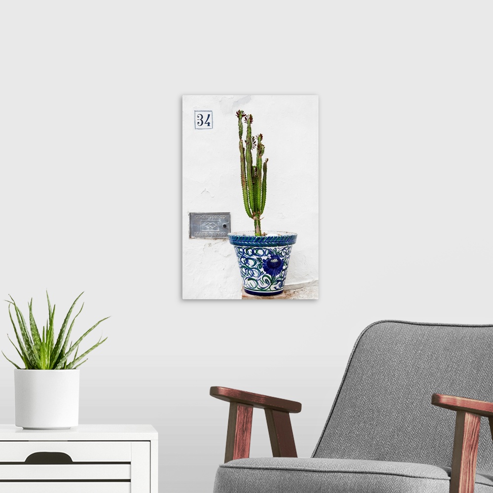 A modern room featuring It's a terracotta pot with a cactus in front of a white wall in Mijas, Spain.