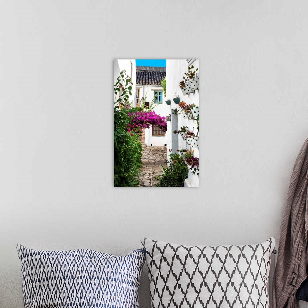 A bohemian room featuring It's an old street with white buildings in the village of Castillo de Castellar in Spain.