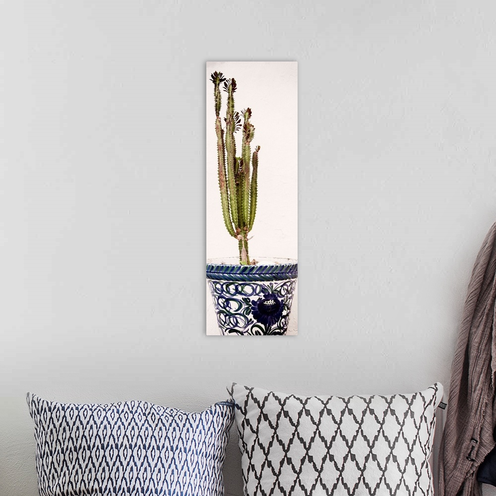 A bohemian room featuring It's a terracotta pot with a cactus in front of a white wall in Mijas, Spain.