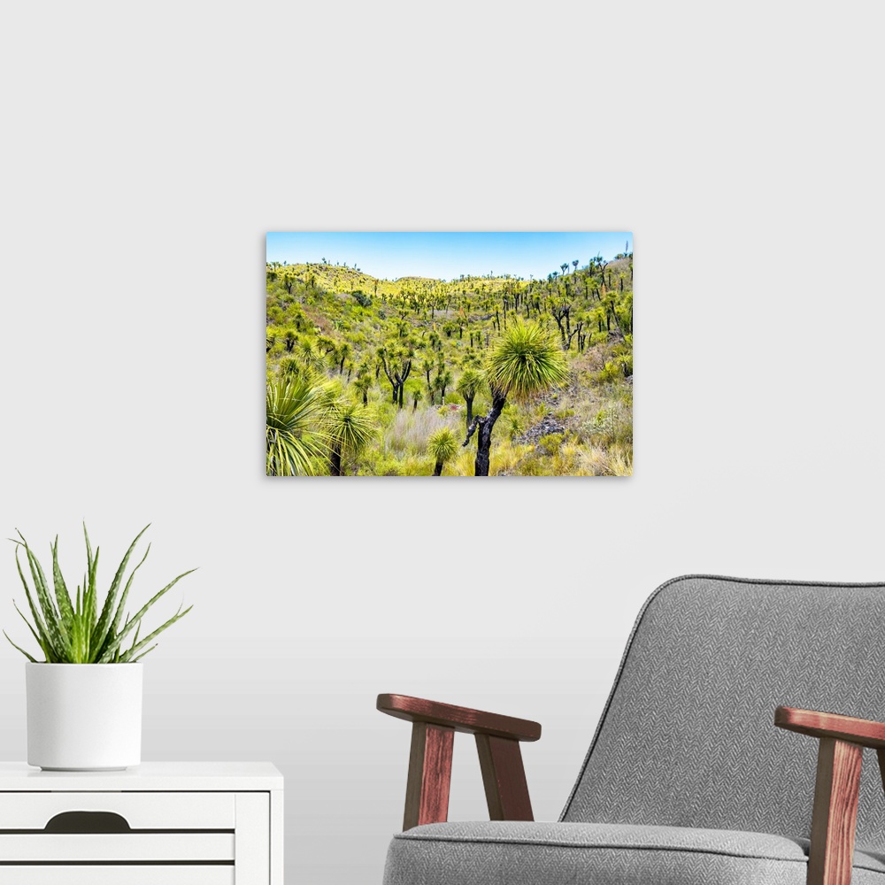 A modern room featuring Landscape photograph of green vegetation in Mexico. From the Viva Mexico Collection.