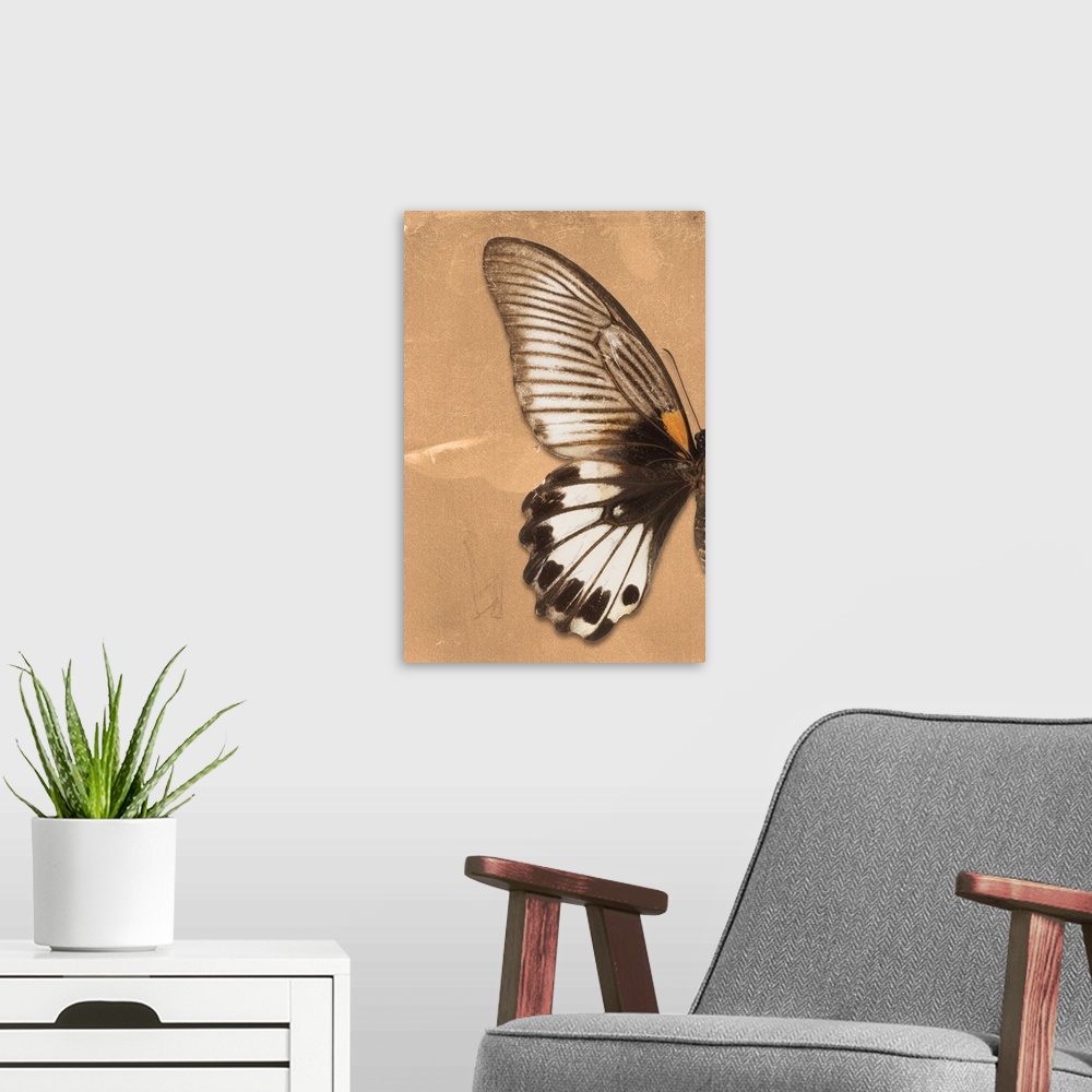 A modern room featuring Half of a butterfly on an orange sparkly background.