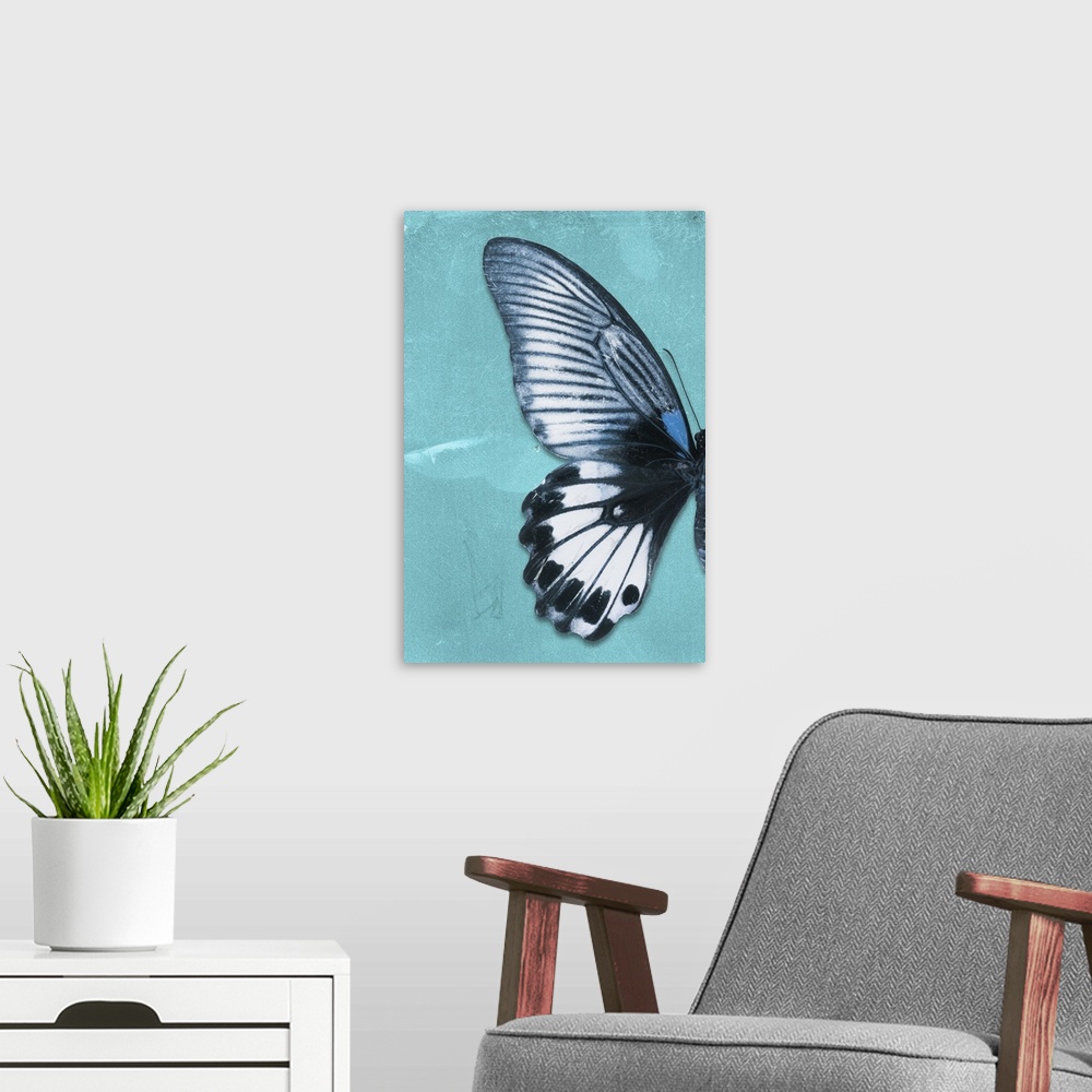 A modern room featuring Half of a butterfly on a blue sparkly background.