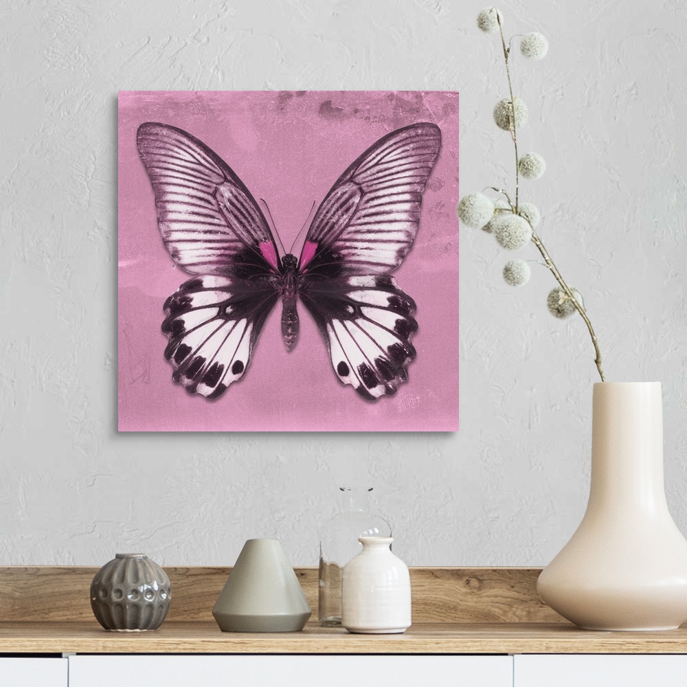 A farmhouse room featuring Square photograph of a butterfly on a pink sparkly background.