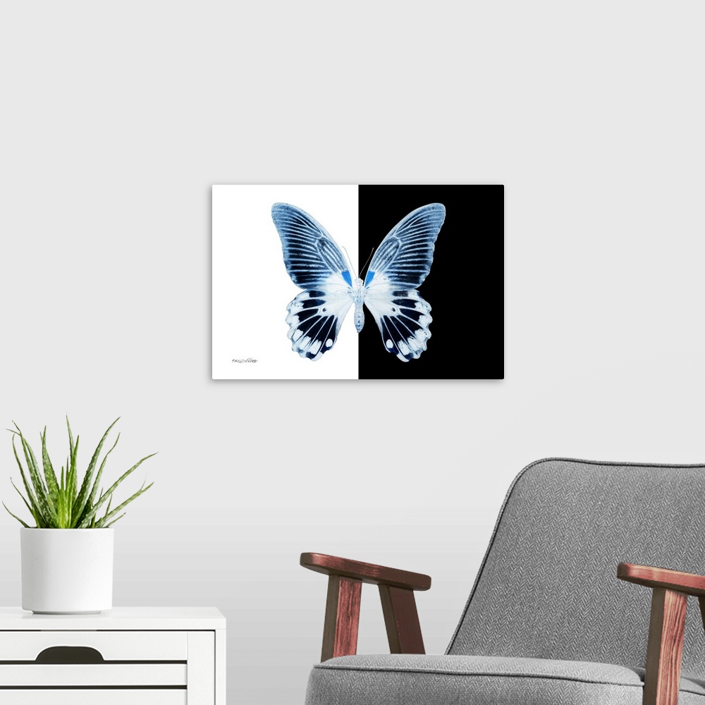 A modern room featuring Miss Butterfly Agenor - X-Ray B