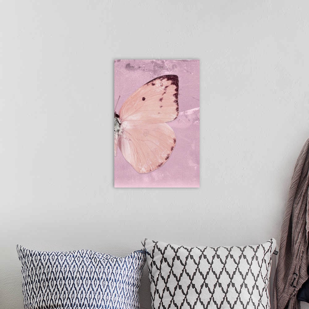 A bohemian room featuring Half of a butterfly on a pink sparkly background.