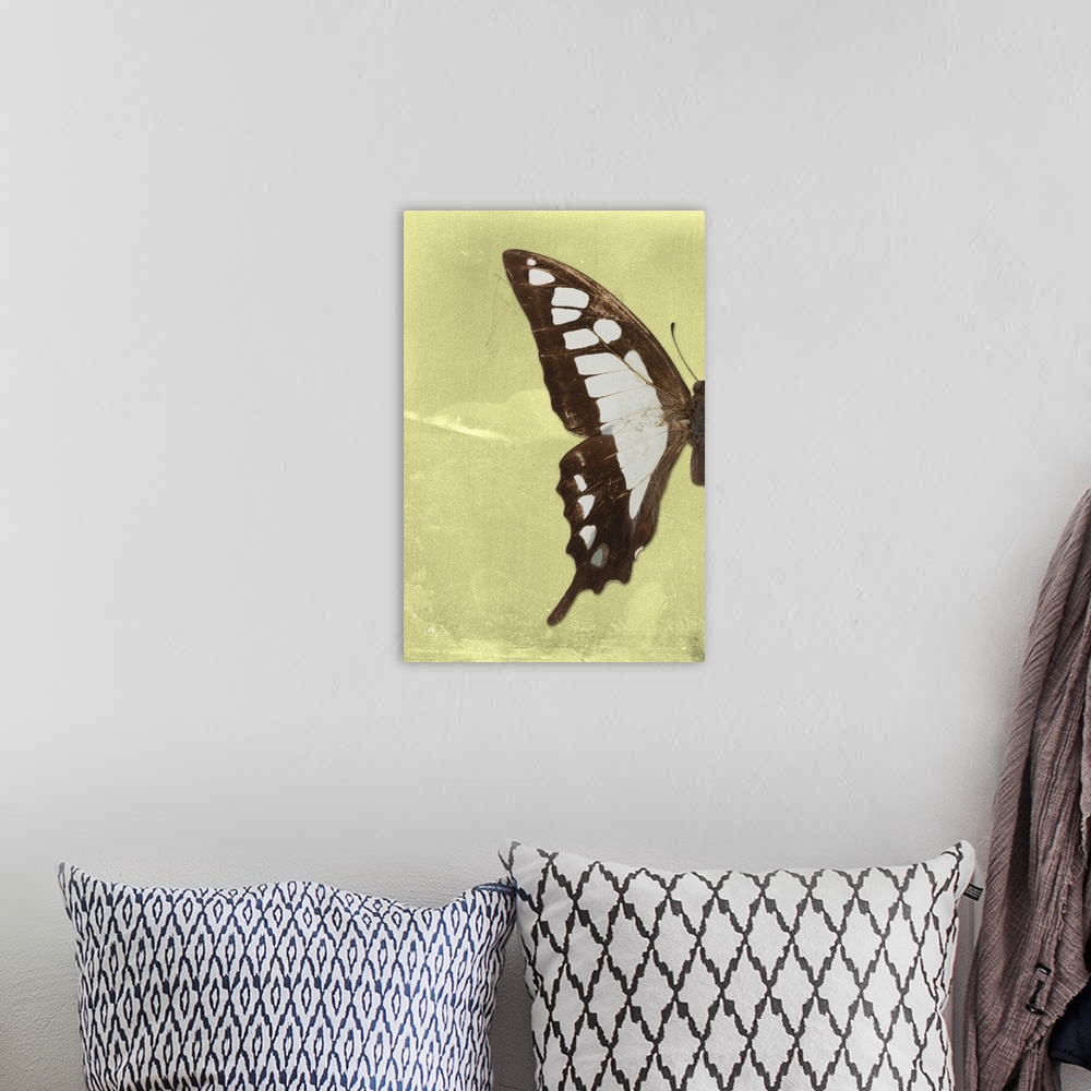 A bohemian room featuring Half of a butterfly on a yellow sparkly background.